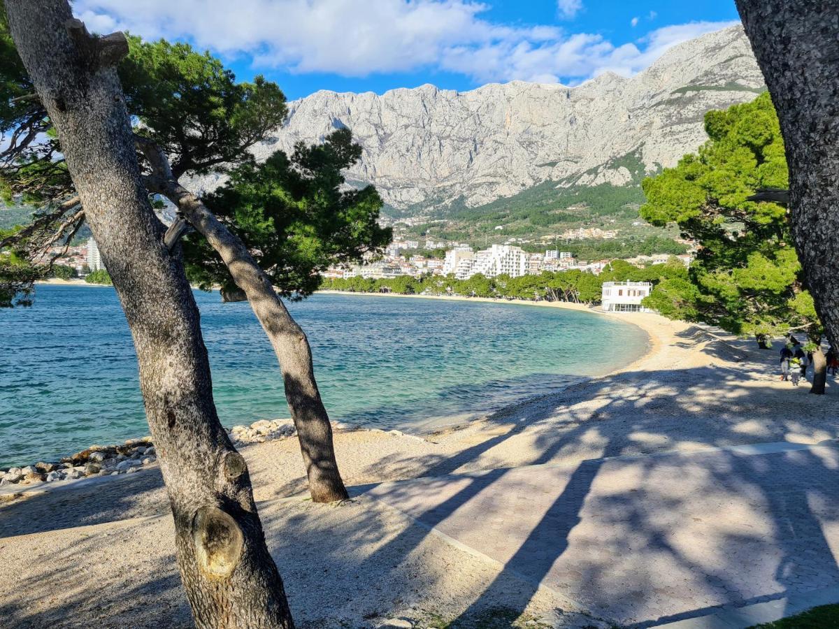 Apartment Ivona With Beautiful Seaview Makarska Esterno foto