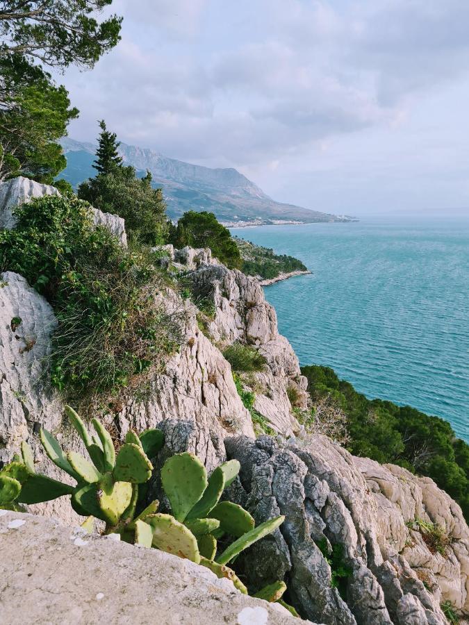 Apartment Ivona With Beautiful Seaview Makarska Esterno foto